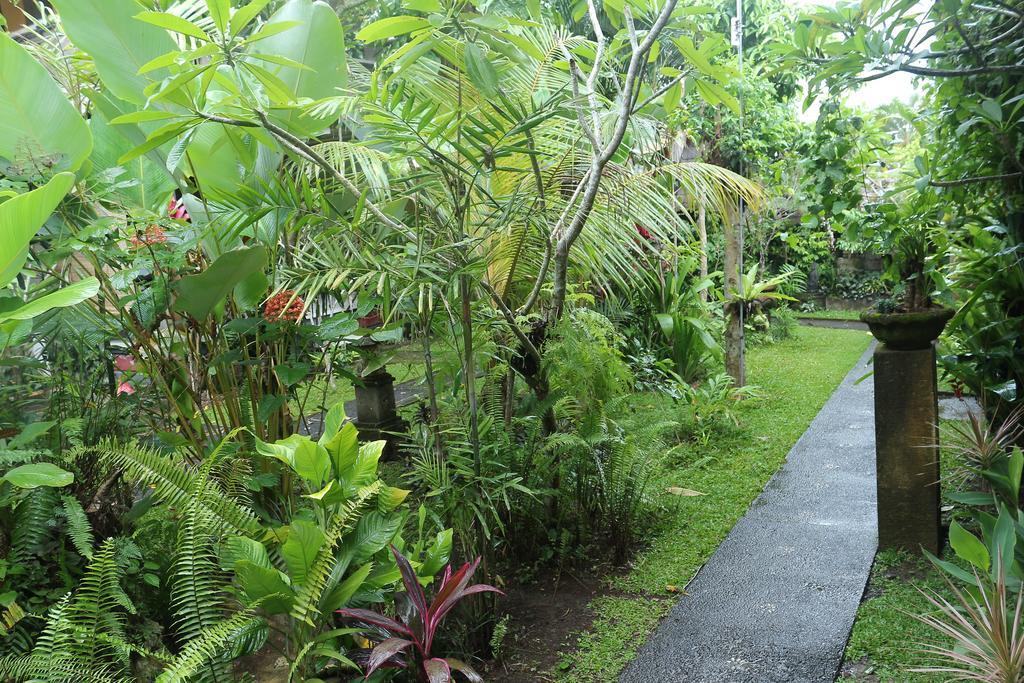 Karang Mesari Ubud Guest House Buitenkant foto