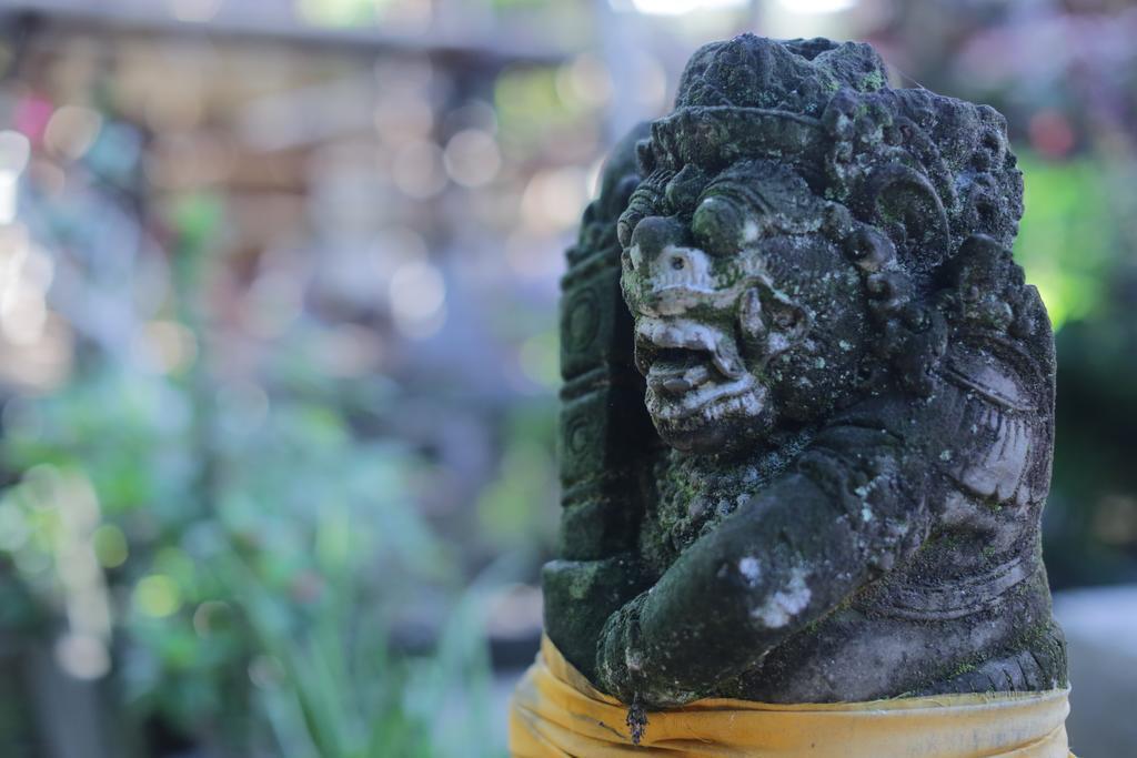 Karang Mesari Ubud Guest House Buitenkant foto