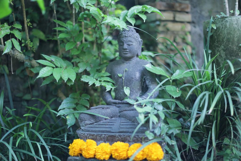 Karang Mesari Ubud Guest House Buitenkant foto
