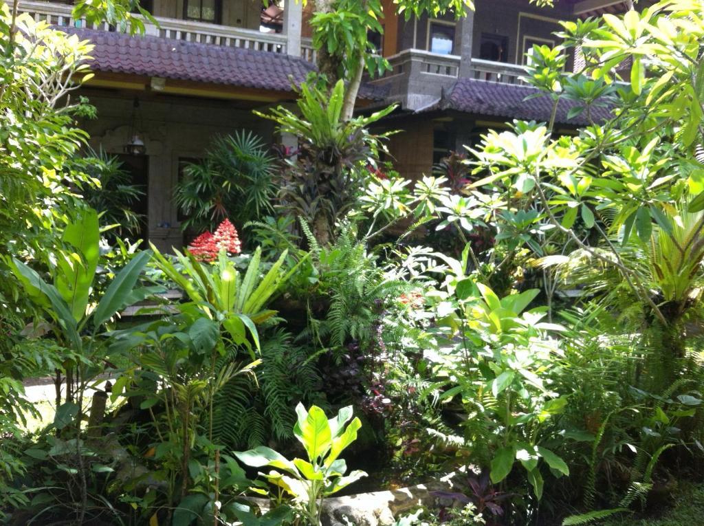 Karang Mesari Ubud Guest House Buitenkant foto