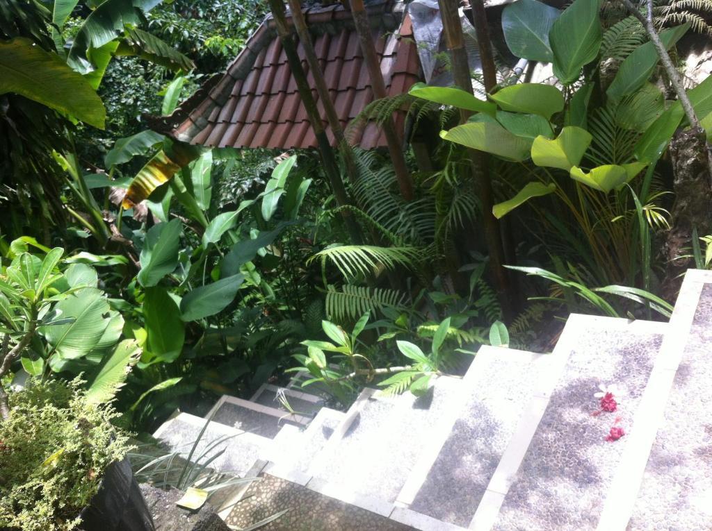 Karang Mesari Ubud Guest House Buitenkant foto